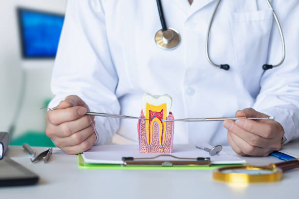 Best Dental Abscess Treatment in Crewe, VA